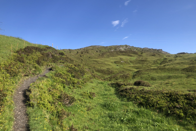 Path from Glaspass to the Glaser Ridge