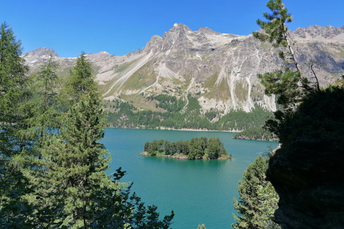 Blick auf den Silsersee