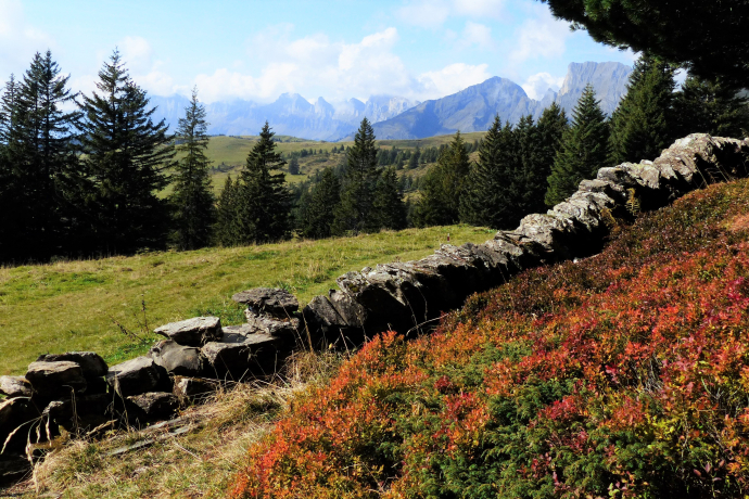 Muro a secco con plateau Palfries sullo sfondo