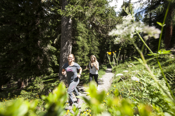 Ausschliesslich über Single-Trails und Forststrassen