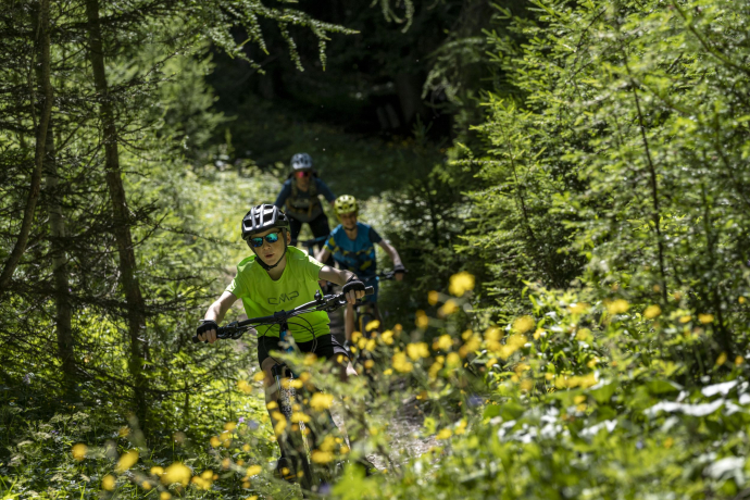 Valley Trail Samnaun (oua_73018406_image)