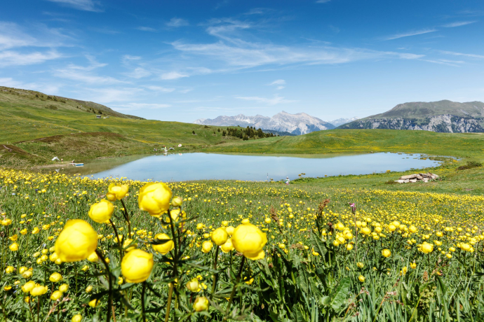 Der Libi-See im Frühling