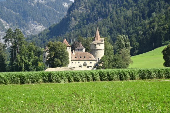 T 06 Via Francisca: Maienfeld - Chur