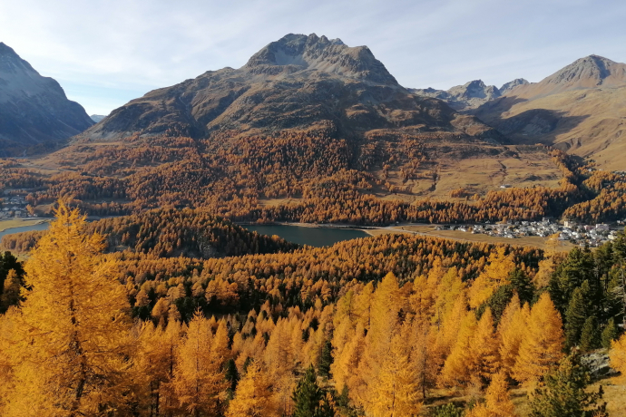 Aussicht auf champfèr