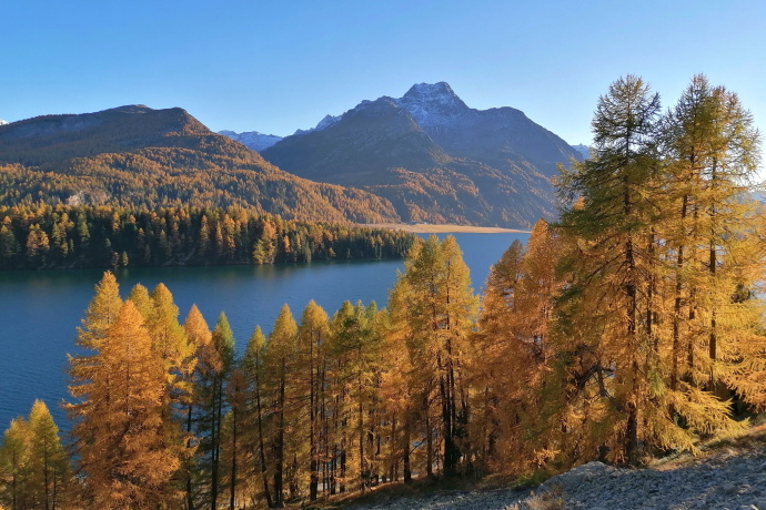 View of Lake Sils