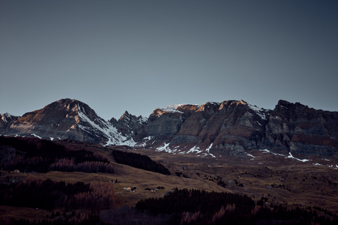 Satteltichopf im Herbst