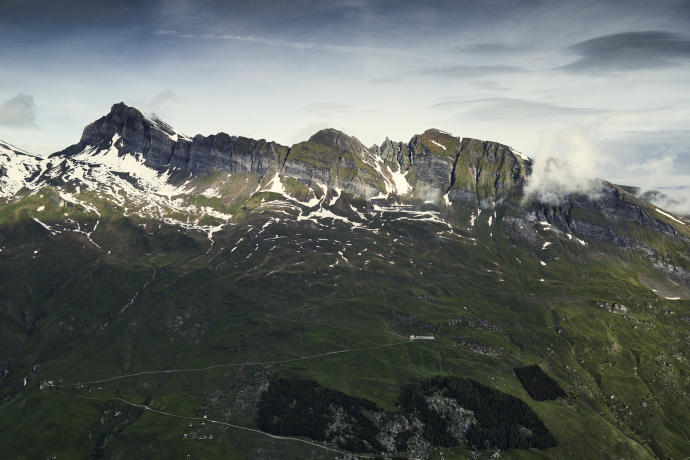 Satteltichopf in der Bildmitte