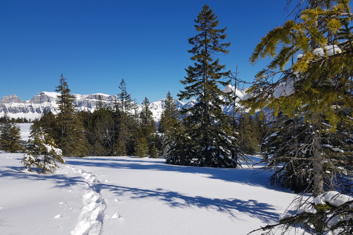 Snowshoe trail Prodalp-Panüöl