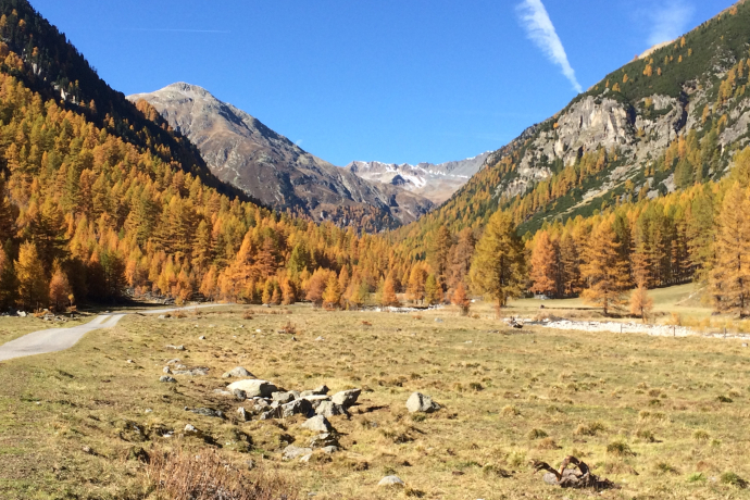 Susauna im Herbst