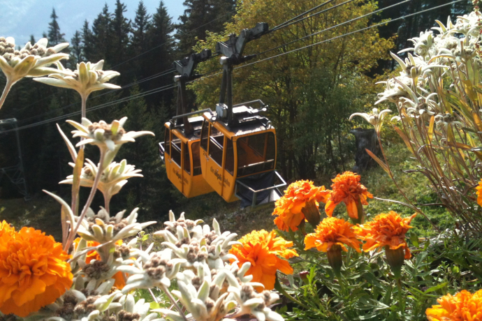 Älplibahn Malans Älplibahn Malans