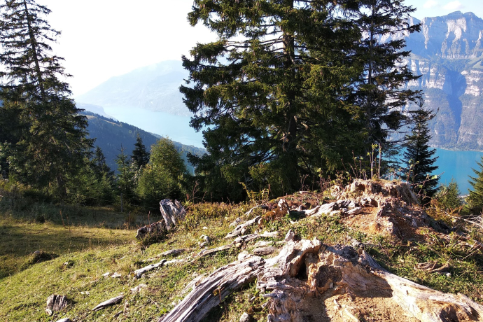 Hochzytsbänkli Hochzytsbänkli