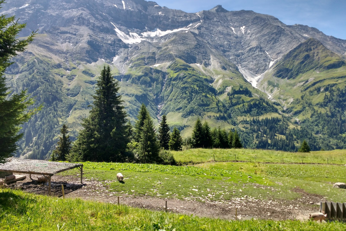 Malanseralp Malanseralp