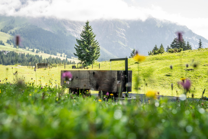 Team Kombination: Laax Murschetg - Runcahöhe - Flims Waldhaus (oua_74866143_image)