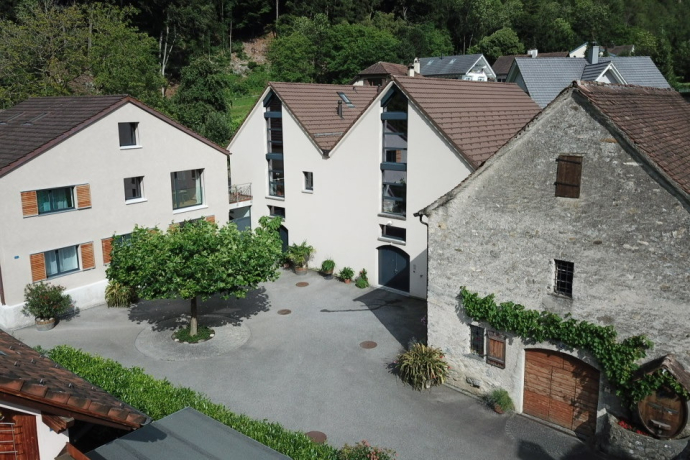 Azienda vinicola in polacco Azienda vinicola in polacco