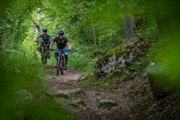 zwei Mountainbiker im Wald am runterfahren