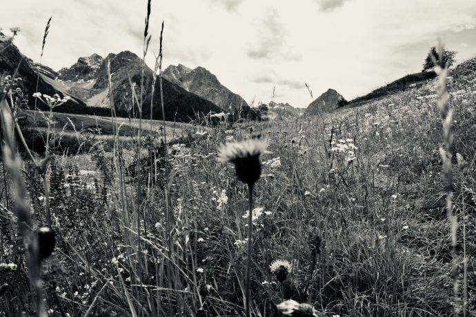 Seelenerlebnisse im Engadin Seelenerlebnisse im Engadin