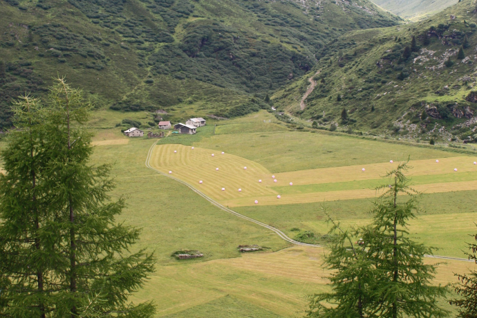 Etappe 4: Plang Faller