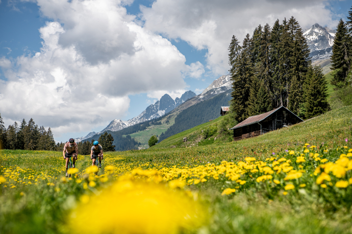 Blumenwiese über Migliè