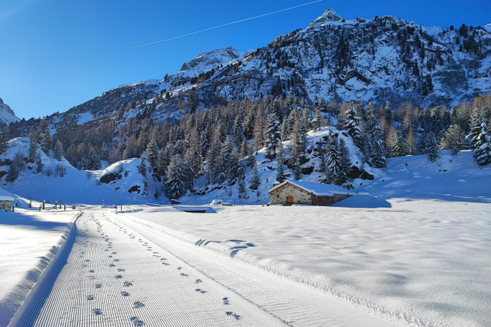 Alp Cavloc