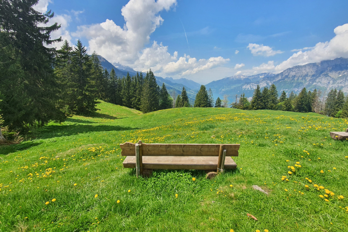 Aussicht Seeblick-Rundweg