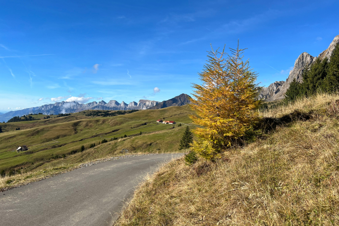 Vorderpalfries mit Churfirstenkette