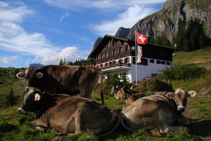 Berggasthaus Palfries