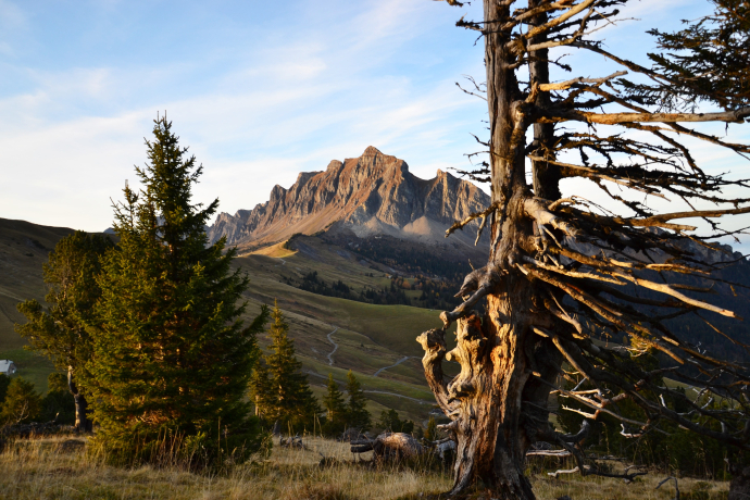 Vue sur la chaîne Gauschla/Alvier