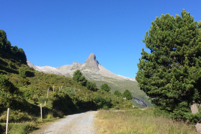 Weg mit Blick aufs Zerfreilahorn