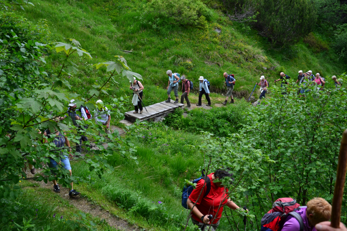 Aufstieg durch die üppige Vegetation Richtung Chamm.