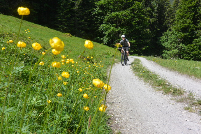 Genussvolle Forststrasse