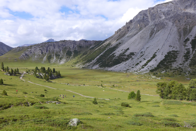 Torbiera Jufplaun (oua_78854166_image)