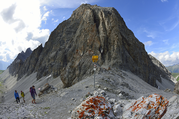 Orgel- und Elapass