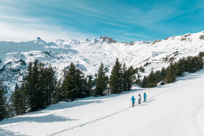 Sentier de raquettes à neige Plattis avec vue sur le Spitzmeilen