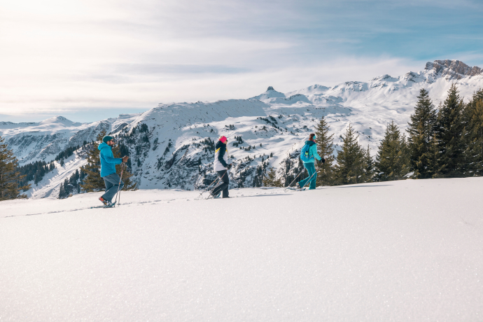 Sentier de raquettes à neige Plattis