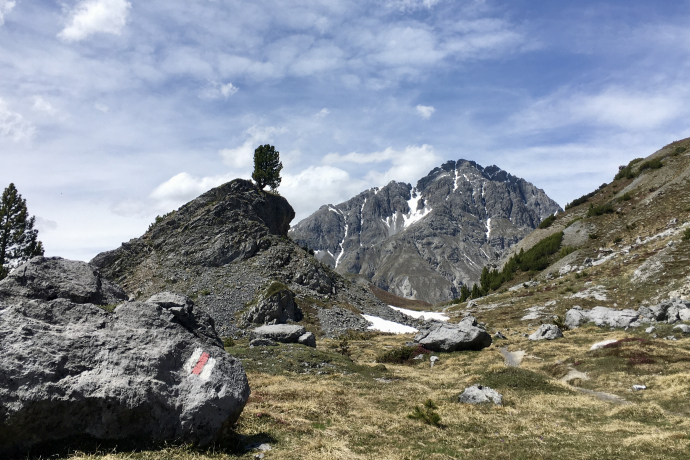 From the Ofen Pass towards Chaschlot with a view of the National Park
