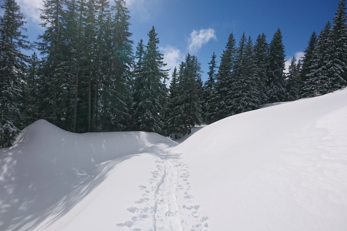 Signalisierter Schneeschuh-Trail: Ladir (oua_79534371_image)