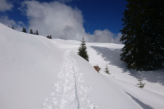 Signalisierter Schneeschuh-Trail: Ladir (oua_79534372_image)