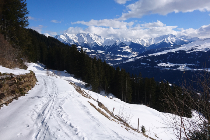 Schneeschuhwandern Siat (oua_79535786_image)