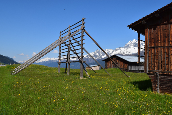 Detektiv Gemschi in Obersaxen Mundaun (oua_80267113_image)