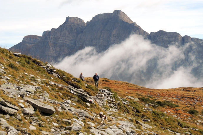 Tour Commercialstrasse (oua_81345249_image)