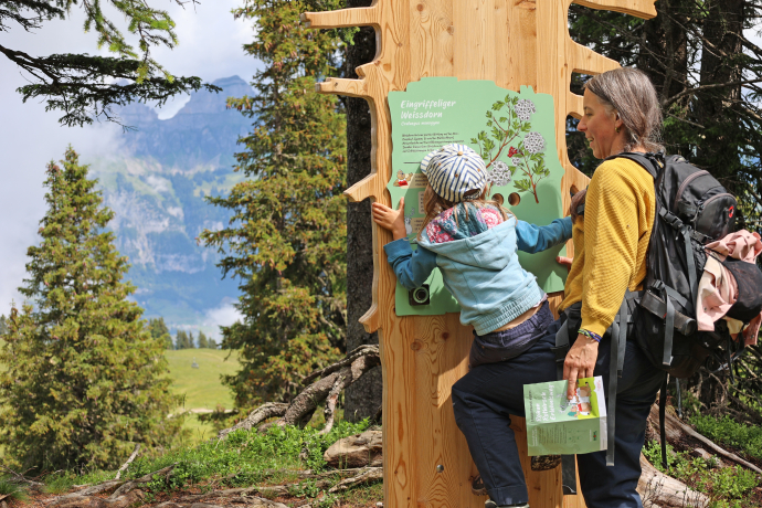 Rohan Red Deer Adventure Trail: Children solve puzzles at various stations, actively complete tasks and experience the exciting story of red deer Rohan.