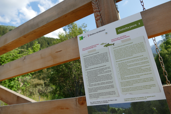 Chatscha jaura – Schnitzeljagd (oua_81718902_image)