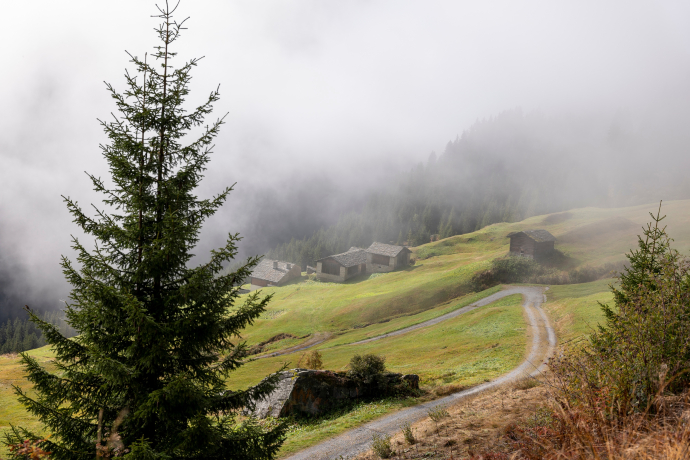 Gadastatt - Moos -Leis - Vals (oua_82026951_image)