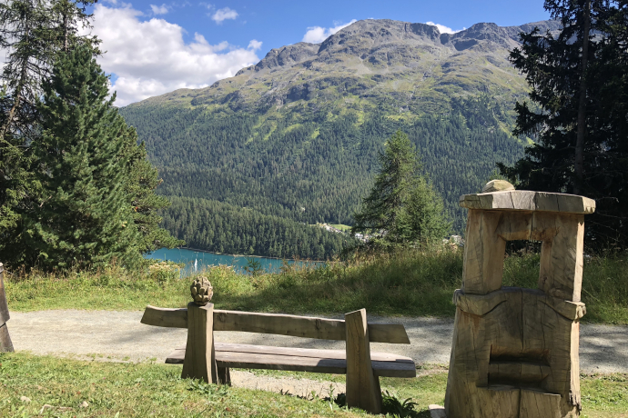 Panchina allo Schellenursliweg (oua_82357465_image) Panchina allo Schellenursliweg (oua_82357465_image)