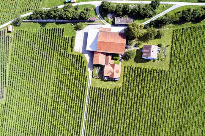 Weingut Ueli & Jürg Liesch