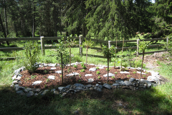 Insekten-Schaugarten Don Bosco Insekten-Schaugarten Don Bosco