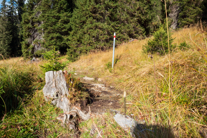 Alp Dadens (Segment) (oua_86013872_image)