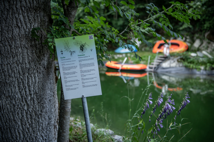 Waldlehrpfad "Mulin" in Schnaus (oua_86278391_image)