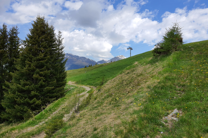 Forschung am Wegesrand: Die Biologenrunde (oua_86450794_image)