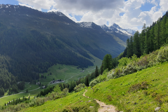 Forschung am Wegesrand: Die Biologenrunde (oua_86450796_image)